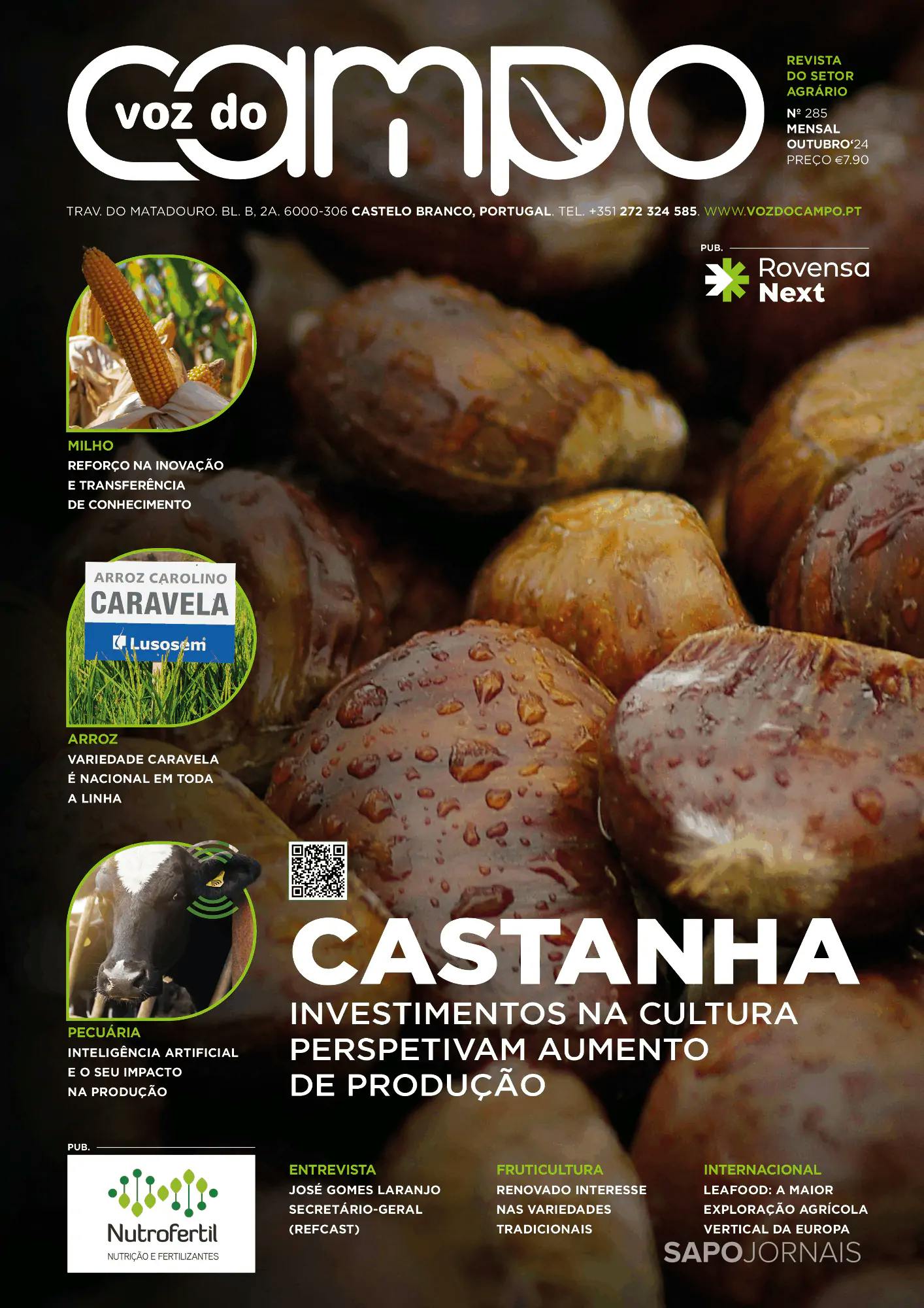 Capa Voz do Campo