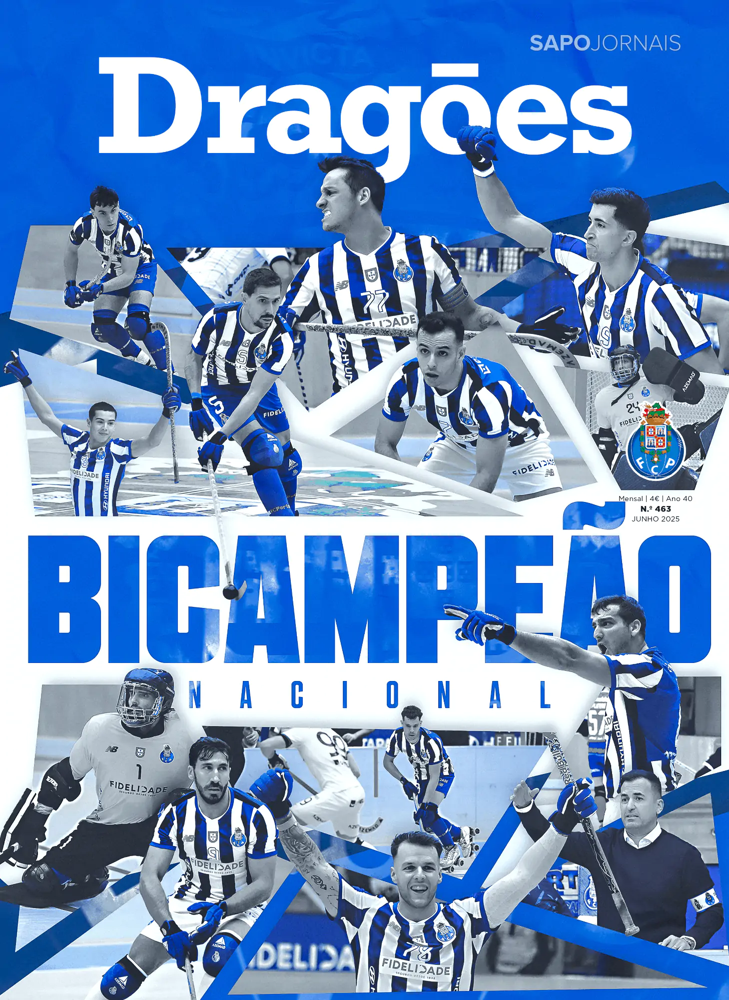 Capa Dragões