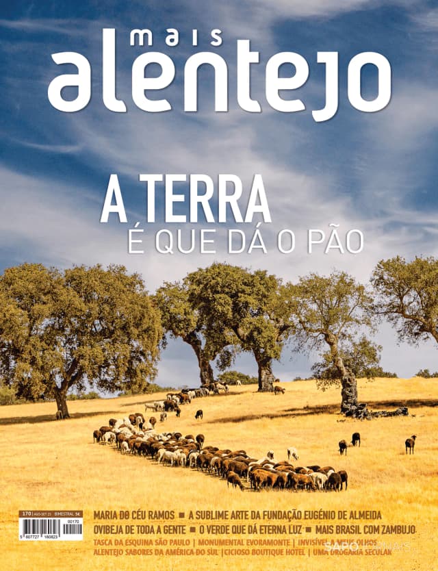 Capa jornal Revista Mais Alentejo 2025-08-01