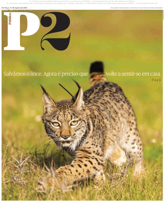 Capa jornal P2-Público 2025-08-10